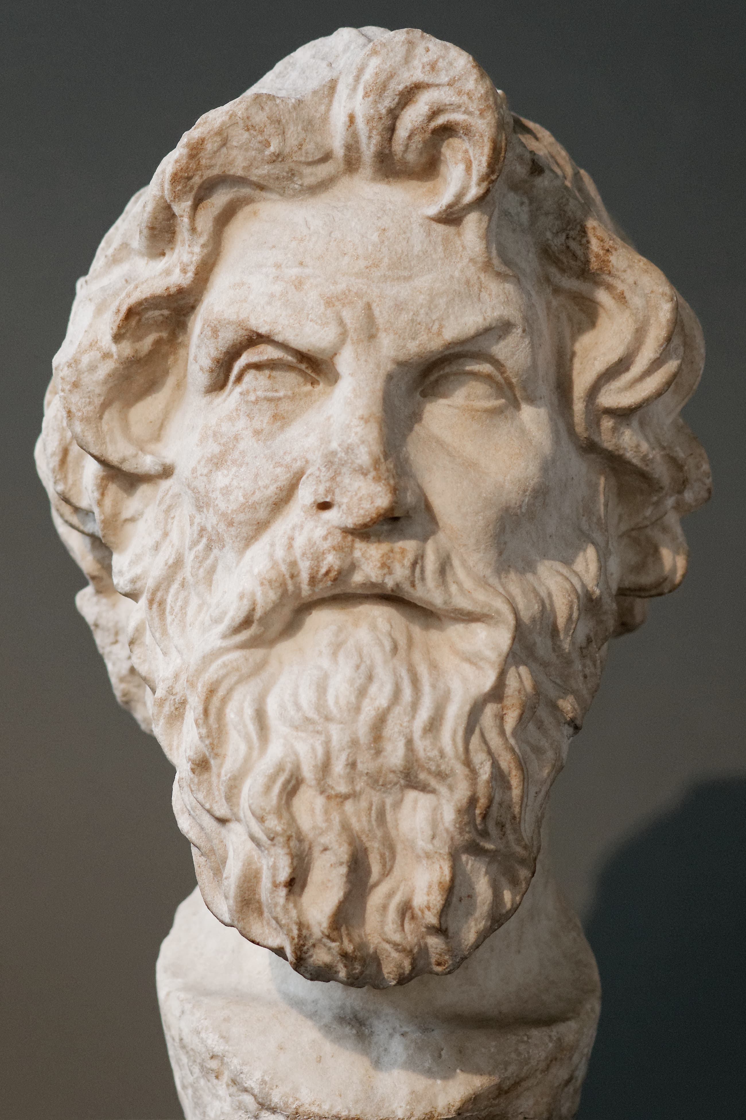 Portrait of Antisthenes
