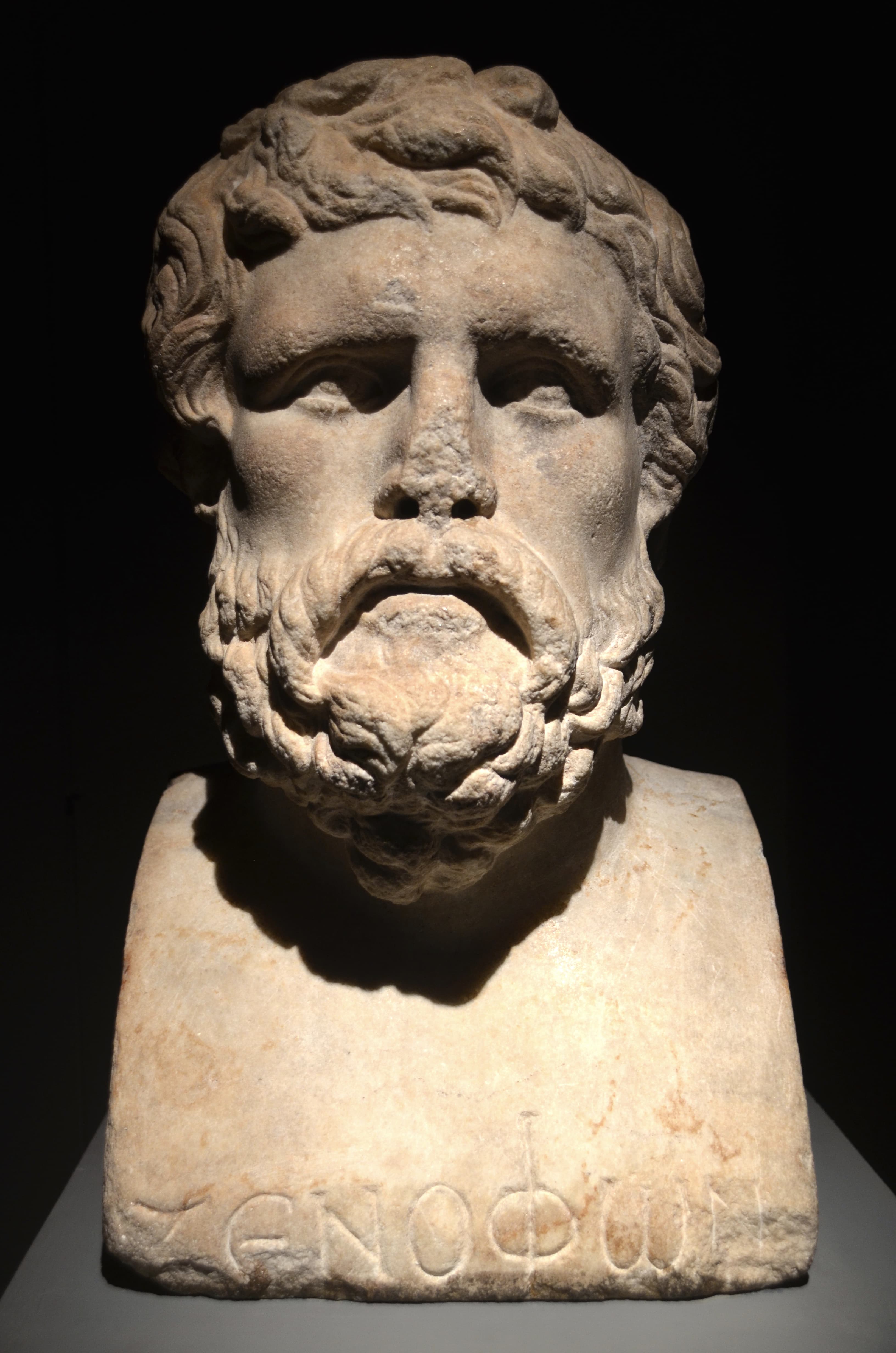 Portrait of Xenophon