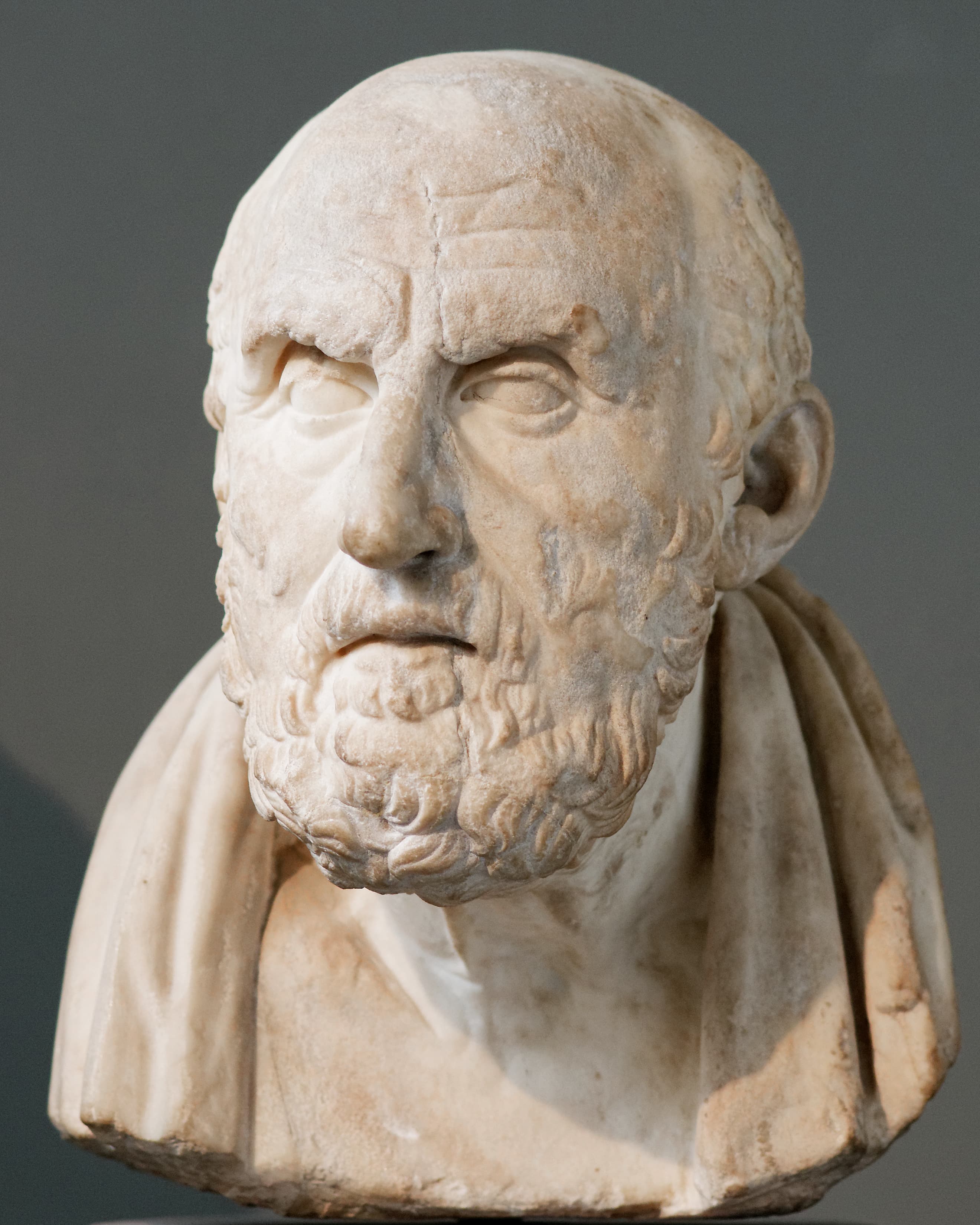 Portrait of Chrysippus